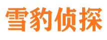 香河市私家侦探